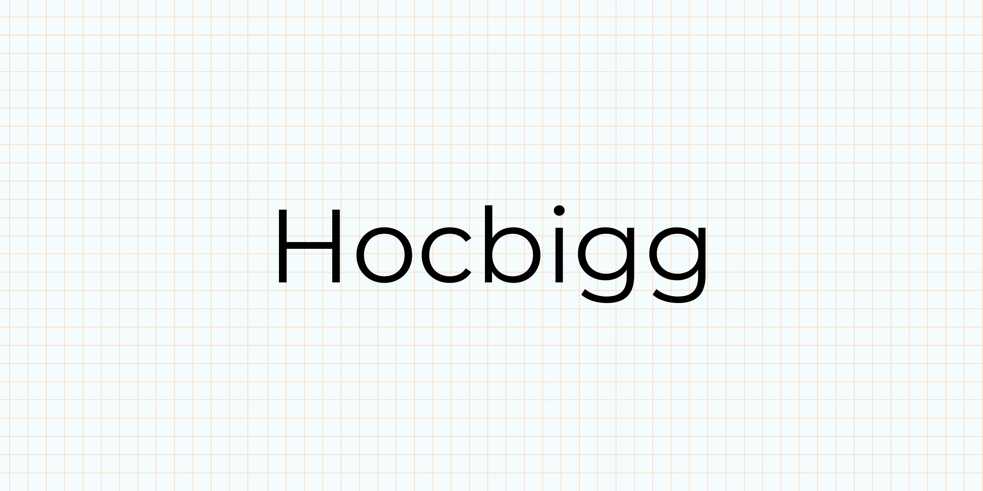 Hocbigg logo